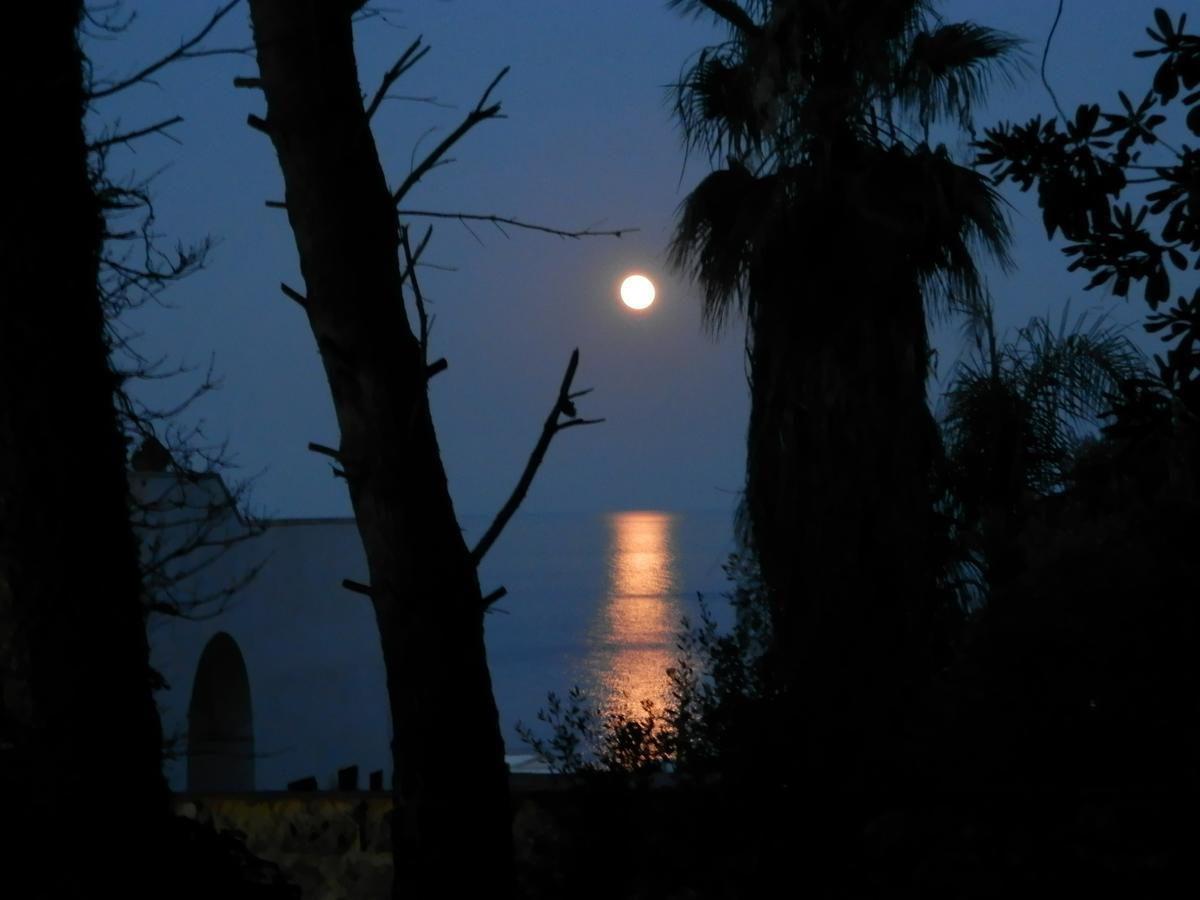 Agriturismo Salento D'Arare Marina Serra Eksteriør bilde